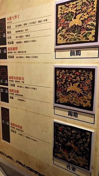 P_20151108_113127.jpg