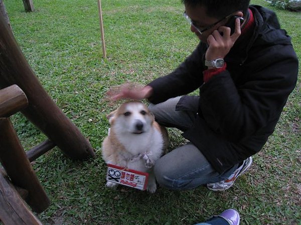 20101231-20110102 100.jpg