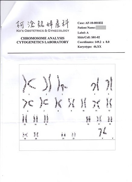 20100407 (羊膜穿刺報告 - 2).jpg