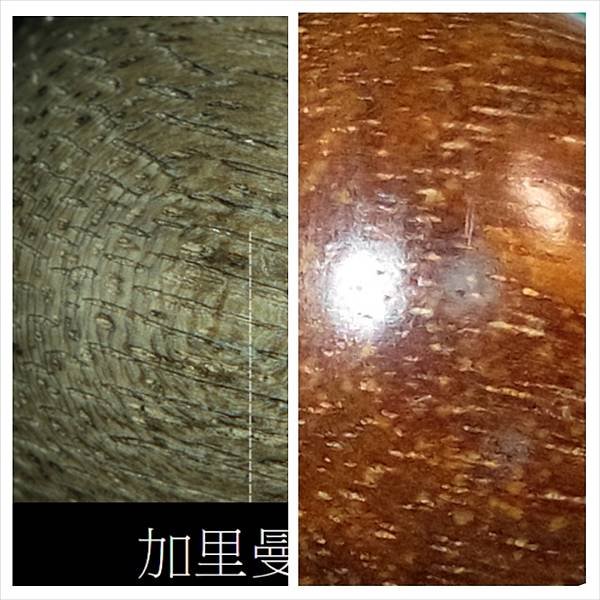 沉香 加里曼丹沉香浮水珠與沉水珠之觀察