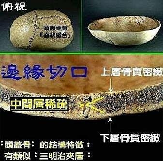 {人骨念珠辨識使用法}：人骨念珠念珠在市場所見幾乎都是獸骨或