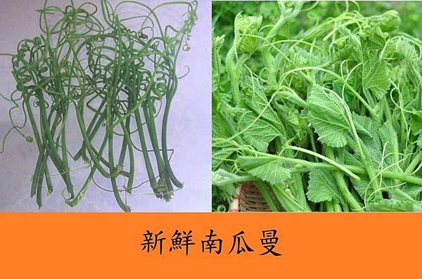 南瓜曼泡水喝治結石