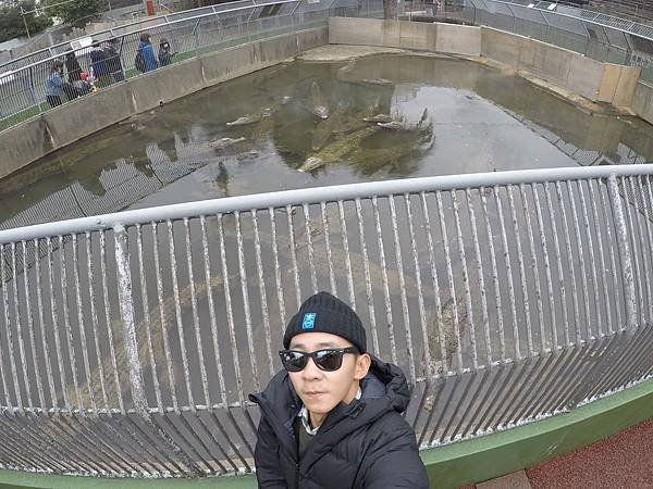 S__10756192.jpg