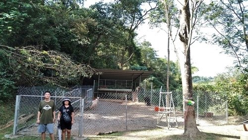 110.11.22.涼山.千禧公園 (89).jpg - 110.11.22.涼山.千禧公園