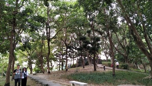 110.11.27.台中三公園 (123).jpg - 台中民俗.文心森林.雕塑公園