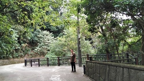 110.11.25.大坑步道.台中二公園.  (214).jpg - 110.11.25.大坑步道.台中二個公園