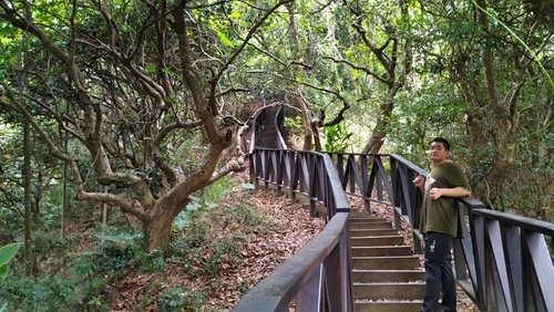 110.11.25.大坑步道.台中二公園.  (239).jpg - 110.11.25.大坑步道.台中二個公園