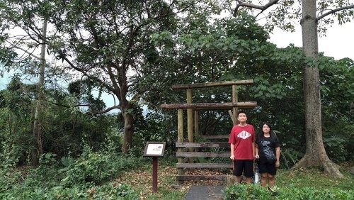 110.11.24.山川吊橋.原住民園區 (198).jpg - 110.11.24.山川琉璃吊橋.原住民文化園區