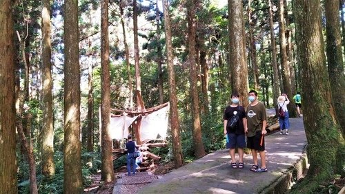 110.9.5.東眼山 (128).jpg - 110.9.5.東眼山