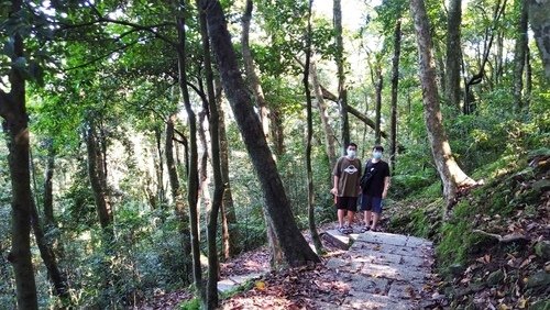 110.9.5.東眼山 (83).jpg - 110.9.5.東眼山