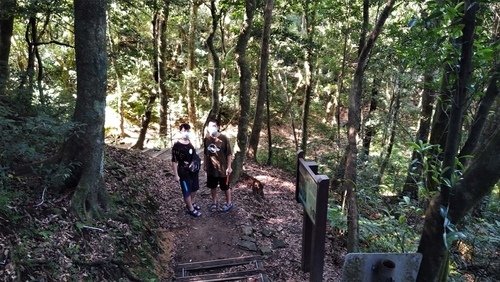 110.9.5.東眼山 (84).jpg - 110.9.5.東眼山