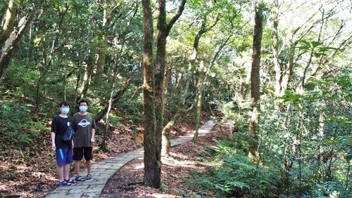110.9.5.東眼山 (88).jpg - 110.9.5.東眼山