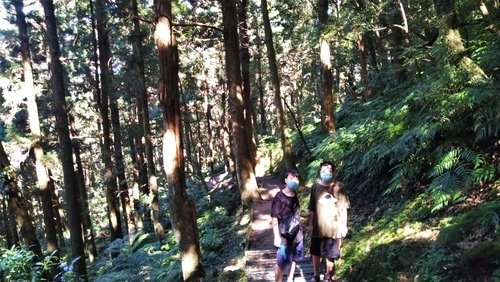110.9.5.東眼山 (96).jpg - 110.9.5.東眼山