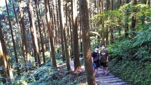 110.9.5.東眼山 (103).jpg - 110.9.5.東眼山