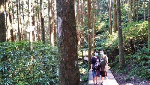 110.9.5.東眼山 (104).jpg - 110.9.5.東眼山