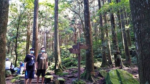110.9.5.東眼山 (106).jpg - 110.9.5.東眼山
