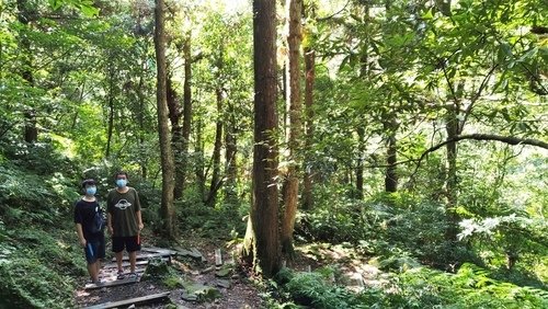 110.9.5.東眼山 (114).jpg - 110.9.5.東眼山