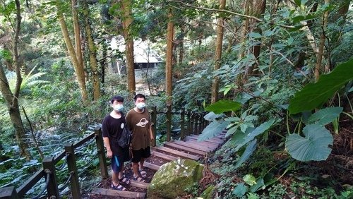 110.9.5.東眼山 (118).jpg - 110.9.5.東眼山