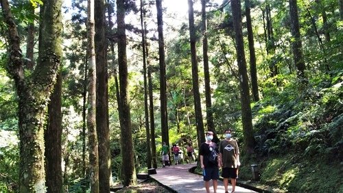 110.9.5.東眼山 (130).jpg - 110.9.5.東眼山