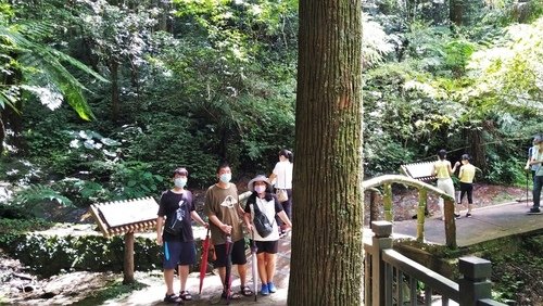 110.9.5.東眼山 (145).jpg - 110.9.5.東眼山