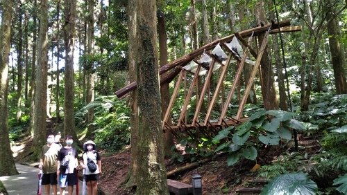 110.9.5.東眼山 (147).jpg - 110.9.5.東眼山