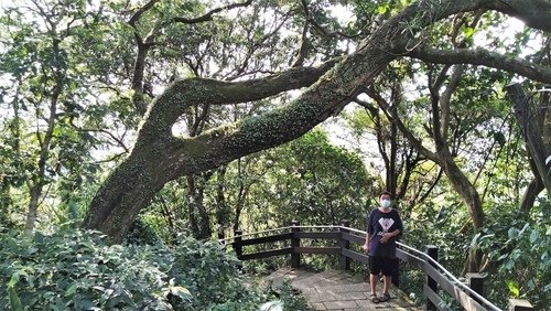 110.6.30.虎山九五峰 (150).jpg - 110.6.30.虎山九五峰