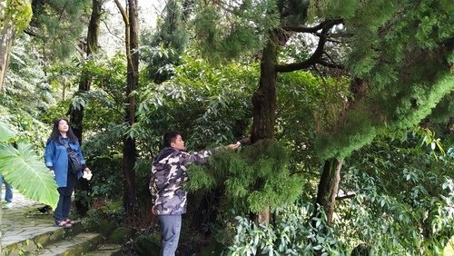 110.2.14.初三陽明山.雙溪公園 (74).jpg - 110.2.14.初三陽明山.雙溪公園