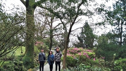 110.2.14.初三陽明山.雙溪公園 (79).jpg - 110.2.14.初三陽明山.雙溪公園