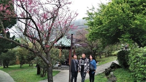 110.2.14.初三陽明山.雙溪公園 (90).jpg - 110.2.14.初三陽明山.雙溪公園