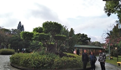110.2.14.初三陽明山.雙溪公園 (107).jpg - 110.2.14.初三陽明山.雙溪公園