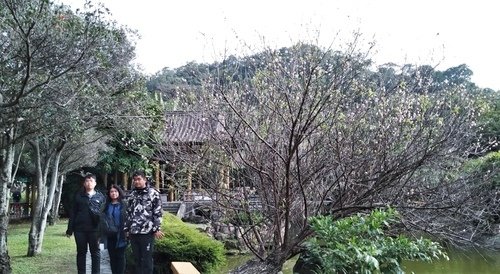 110.2.14.初三陽明山.雙溪公園 (110).jpg - 110.2.14.初三陽明山.雙溪公園