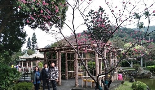 110.2.14.初三陽明山.雙溪公園 (118).jpg - 110.2.14.初三陽明山.雙溪公園