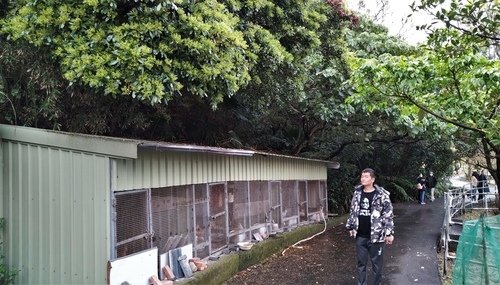 110.2.13.初二白沙岬.山豬城 (149).jpg - 110.2.13.初二白沙岬.山豬城