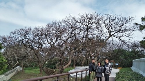 110.2.13.初二白沙岬.山豬城 (53).jpg - 110.2.13.初二白沙岬.山豬城