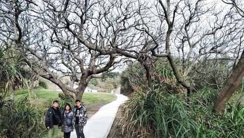 110.2.13.初二白沙岬.山豬城 (60).jpg - 110.2.13.初二白沙岬.山豬城