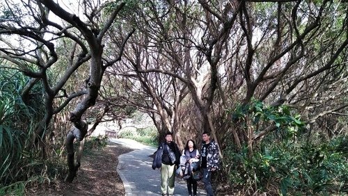 110.2.13.初二白沙岬.山豬城 (79).jpg - 110.2.13.初二白沙岬.山豬城