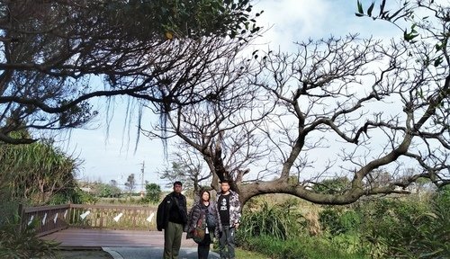 110.2.13.初二白沙岬.山豬城 (80).jpg - 110.2.13.初二白沙岬.山豬城