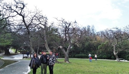 110.2.13.初二白沙岬.山豬城 (82).jpg - 110.2.13.初二白沙岬.山豬城