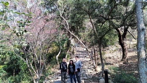 110.2.7.鰲峰山公園.港區藝術中心 (175).jpg - 110.2.7.鰲峰山公園.港區藝術中心