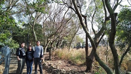 110.2.7.鰲峰山公園.港區藝術中心 (180).jpg - 110.2.7.鰲峰山公園.港區藝術中心