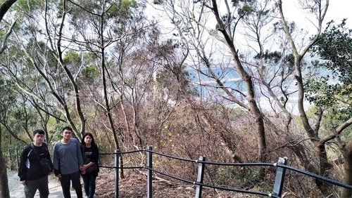110.2.7.鰲峰山公園.港區藝術中心 (191).jpg - 110.2.7.鰲峰山公園.港區藝術中心