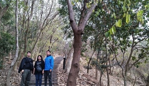 110.2.7.鰲峰山公園.港區藝術中心 (193).jpg - 110.2.7.鰲峰山公園.港區藝術中心