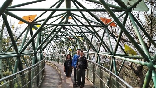 110.2.7.鰲峰山公園.港區藝術中心 (198).jpg - 110.2.7.鰲峰山公園.港區藝術中心