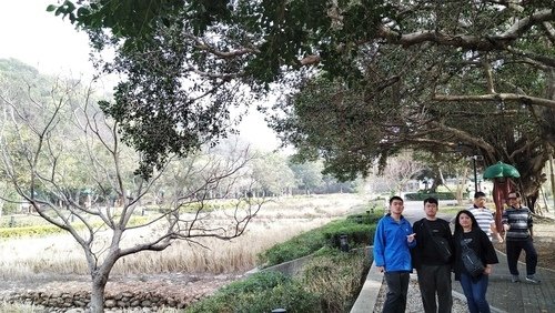 110.2.7.鰲峰山公園.港區藝術中心 (200).jpg - 110.2.7.鰲峰山公園.港區藝術中心