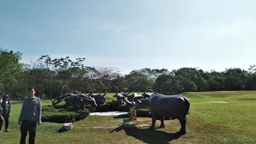 109.12.28 (115).jpg - 109.12.28.六堆客家園區.萬金聖母