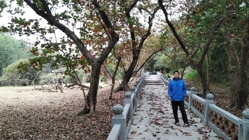 109.12.31.澄清湖 (119).jpg - 109.12.31.澄清湖