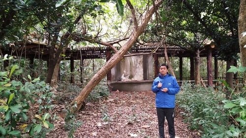 109.12.31.澄清湖 (121).jpg - 109.12.31.澄清湖