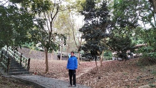 109.12.31.澄清湖 (125).jpg - 109.12.31.澄清湖