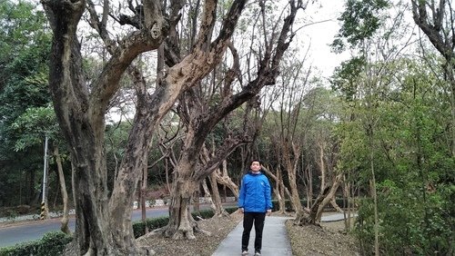 109.12.31.澄清湖 (144).jpg - 109.12.31.澄清湖