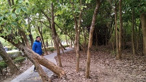 109.12.31.澄清湖 (150).jpg - 109.12.31.澄清湖